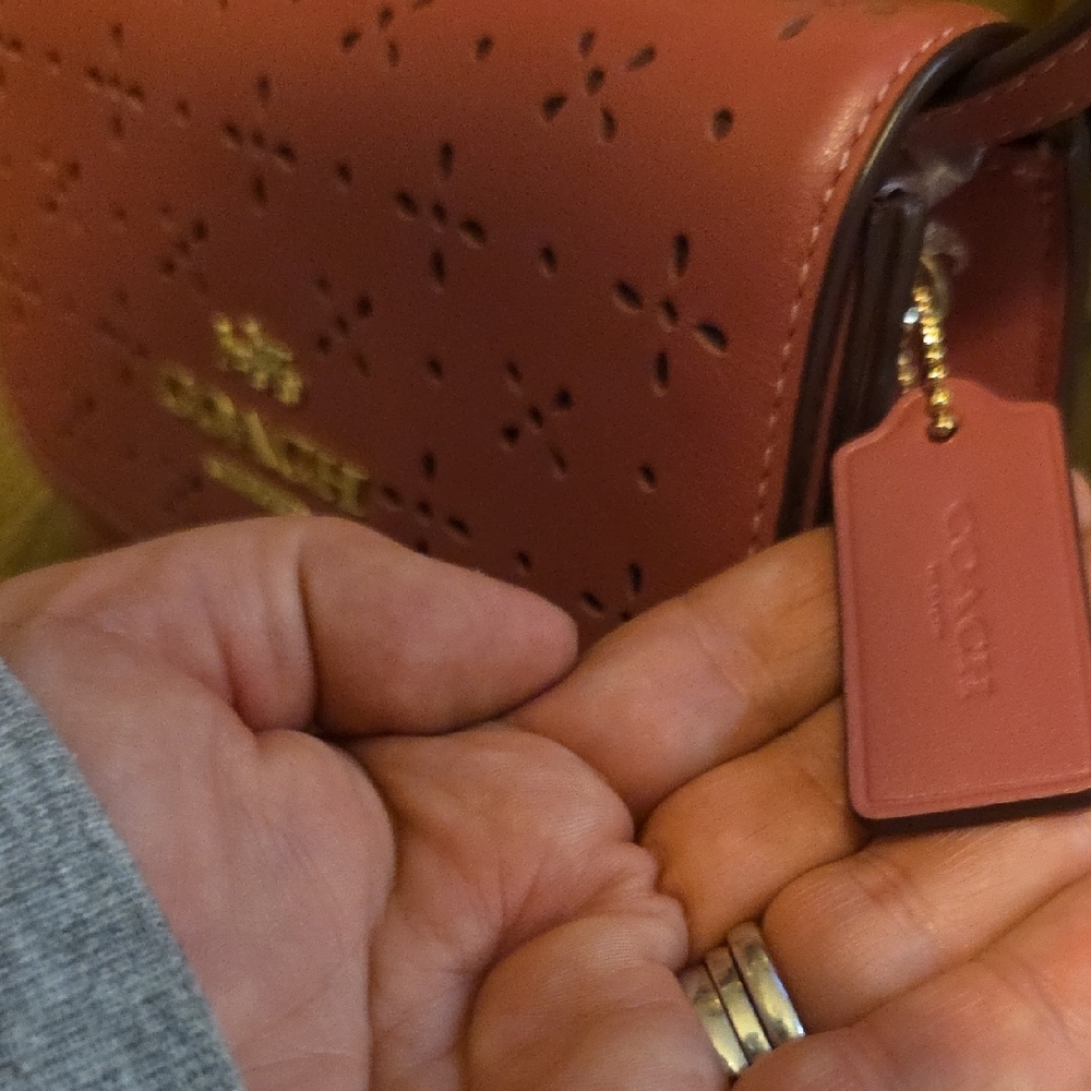 Coach Laser Cut Leather Mini Bryn Rose Crossbody Bag - Picture 3 of 9
